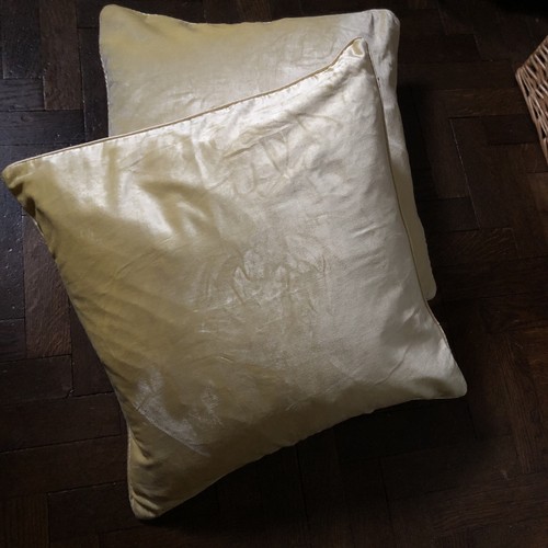 Laura ashley nigella - x,
