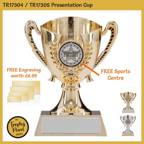 Presentation cup trophy gold - presentation,