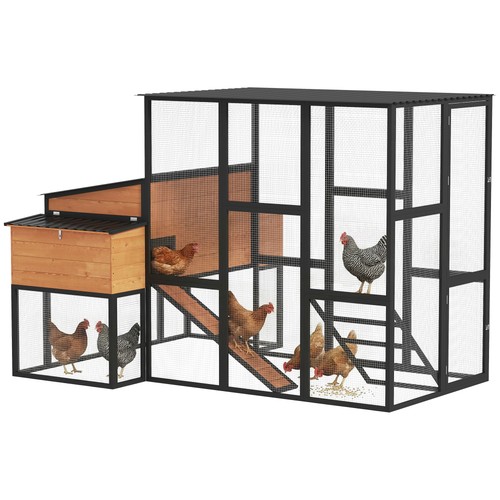105 large chicken - 105", coop