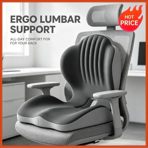 Ergonomic back and seat - ergonomic,
