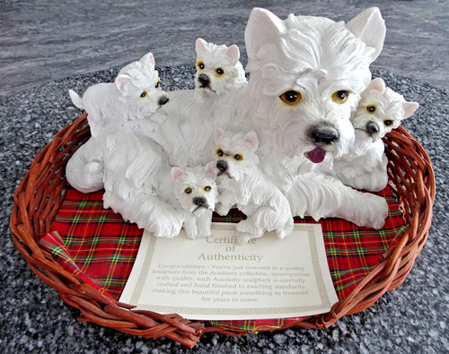 Westie mum with pups - westie, bed
