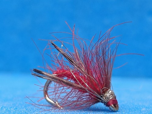 Midas dry fly claret - x, ,