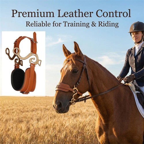Bitless hackamore horse - horse, bridle