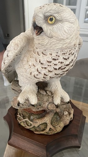Great snowy owl john aynsley - john,