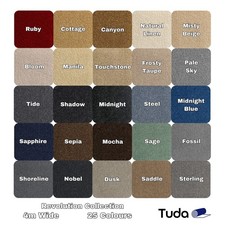 Revolution Saxony Hessian back