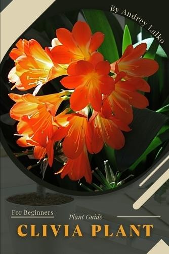 Andrey lalko clivia plant - andrey,