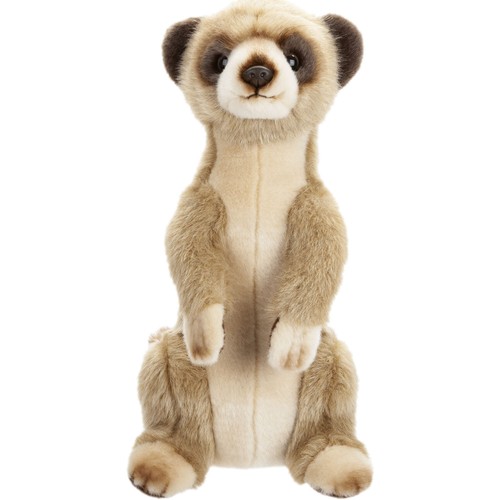 Desert meerkat 30cm plush - meerkat,