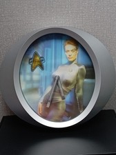 Star Trek Seven of Nine Wall