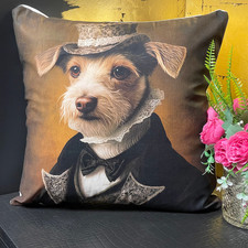 Dressed Up Jack Russel Terrier