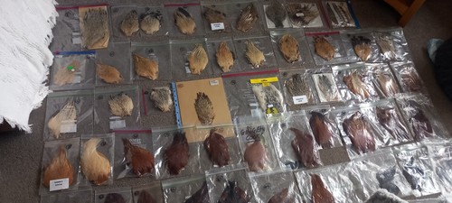 Fly tying materials capes - fly, to