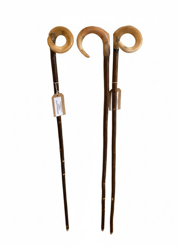 Rams horn crooks hazel - 3x,