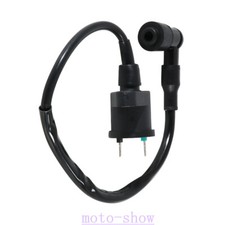 Ignition Coil For SKY TEAM ST 125-1 PBR /ST 125-6 Skymax /ST 125-8 2007-2016