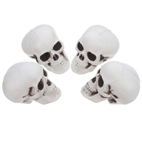 Pcs mini realistic skull jaw - pcs,