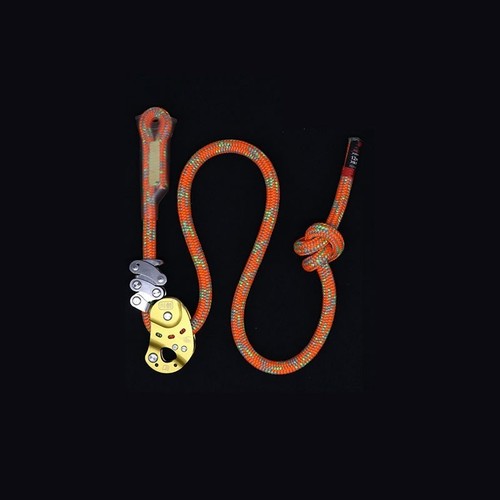Arborist rope grab fall - arborist,