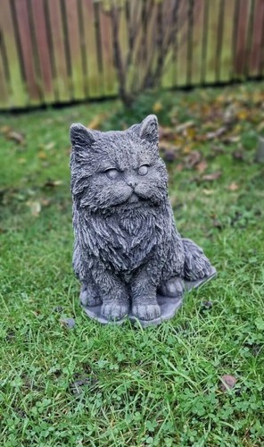 New fluffy persian cat - new,