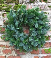 FRESH REAL PINE CHRISTMAS WREATH - 40CM NOBLE & NORDMANN FIR ON WET MOSS RING