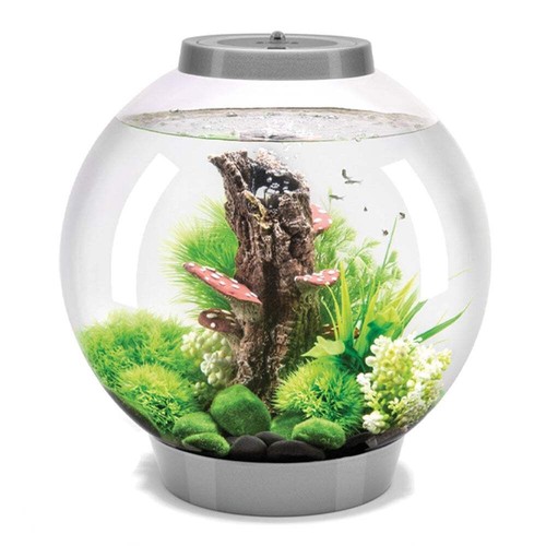Biorb classic aquarium fish - aquarium,
