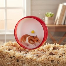 Medium Pet Silent Spinner