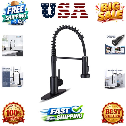 Kitchen faucets with pull down - with,