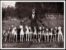 GREYHOUND LADY & SIXTEEN DOGS