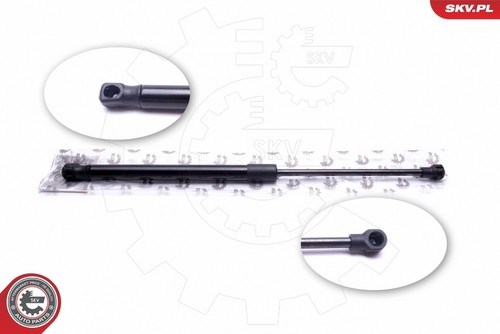 Fits skv germany - fits,