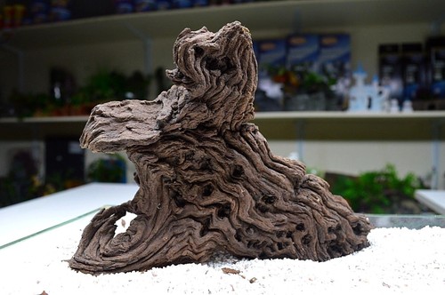 Small mopani wood for nano - small,