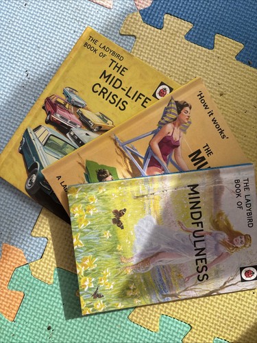 Ladybird books for grown ups - ladybird,