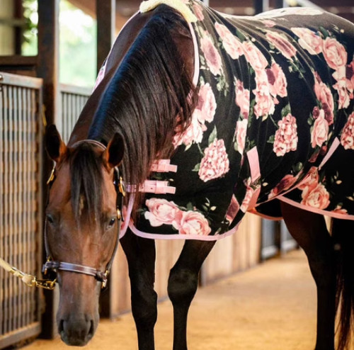 Turquoise marble horse - turquoise, blanket