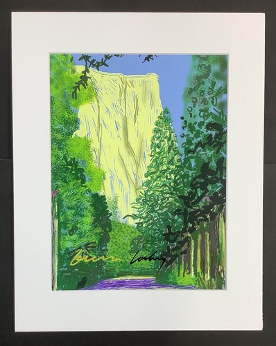 Matted print 11x14 - print,