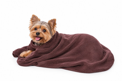 Microfibre dog drying bag - drying,