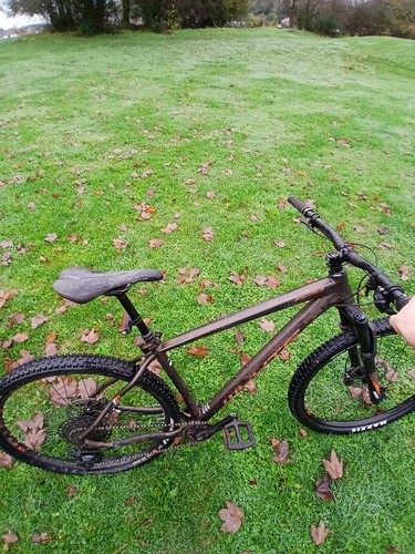 Whyte 629 29er - , mountain