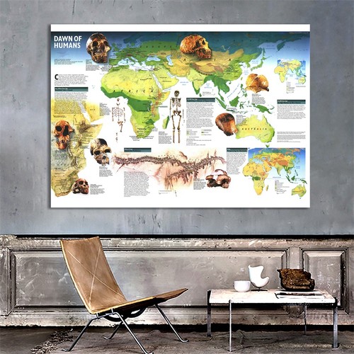Dawn humans evolution world - evolution,