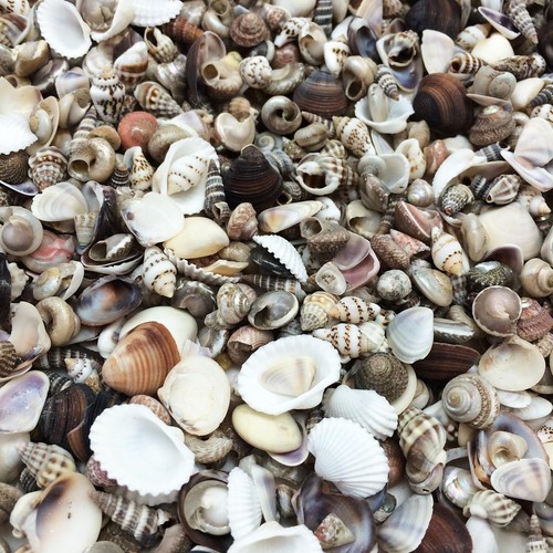 Extra tiny mix sea - extra,