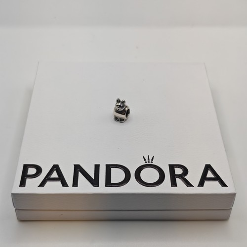 Pandora cat kitty kitten - pandora,