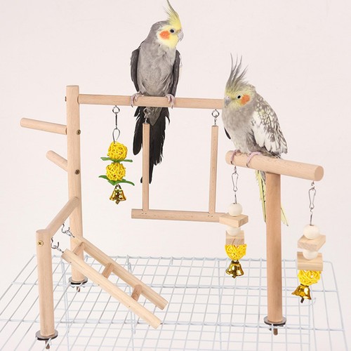 Parrot playground wood perch - parrot,