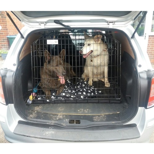 Pet world vauxhall astra - vauxhall, |