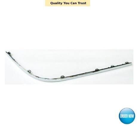 2005 2010 rear bumper moulding - 2005-2010,