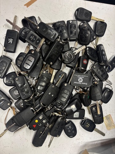 Job lot remote - lot,