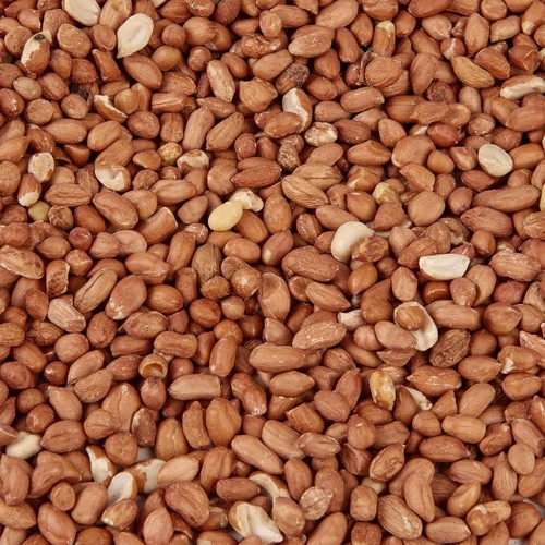 Peanuts wild bird food - wild,