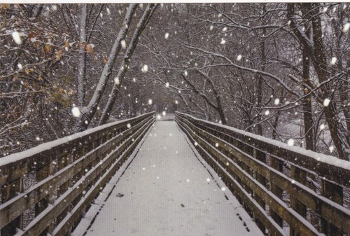 Holston river bridge - bridge, the