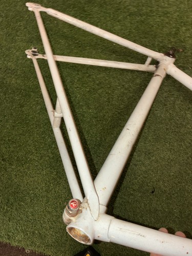 Raleigh men vintage road - raleigh,
