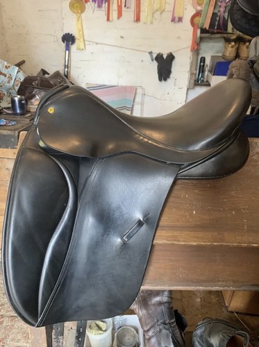 Black country eden - black, dressage