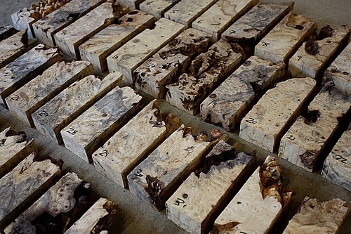 Buckeye burl edges and offcuts - buckeye,