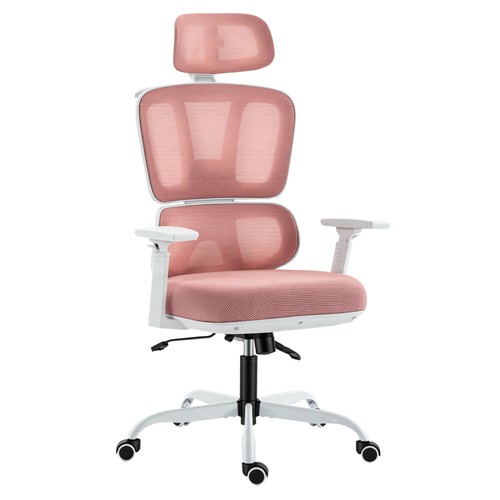 Ergonomic mesh back - ergonomic,