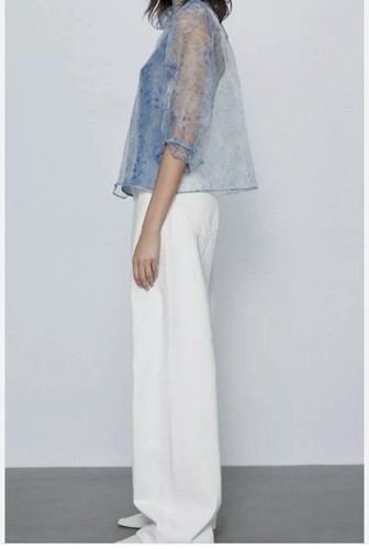 Zara oversized ruffle sleeve