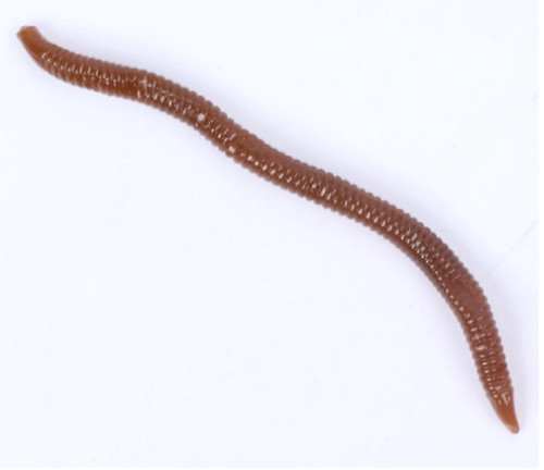 Lifelike earthworm lures - lifelike,