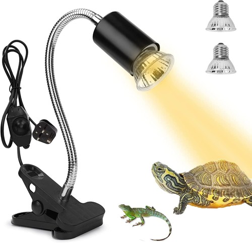 Tortoise reptile heat lamp - reptile,