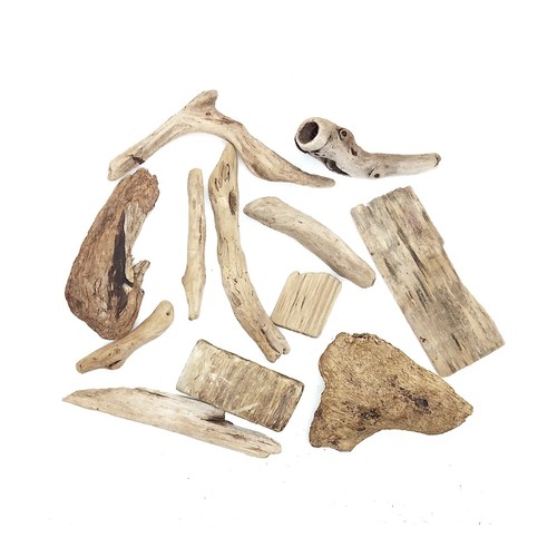 Beach driftwood natural - beach,
