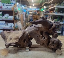 Large 27-49cm Mopani Wood