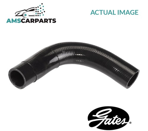 Radiator hose lower - radiator,